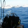 DSC07186
